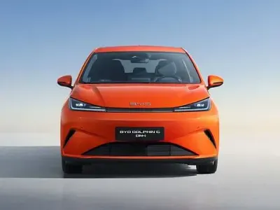 Usata BYD Dolphin