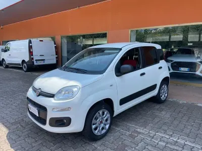 Usata Fiat Panda 4x4