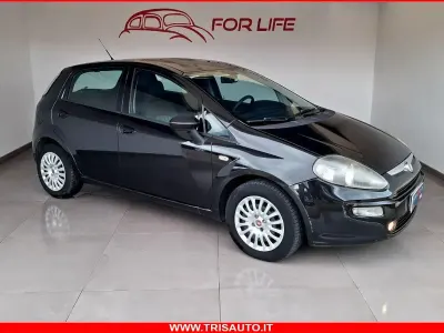Usata Fiat Punto Evo 75 CV (55 kW) 2011 Nero Utilitaria