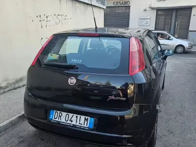 Usata Fiat Punto Evo