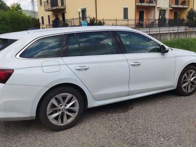 usata Skoda Octavia OctaviaIV 2020 Wagon 2.0 tdi evo Executive 115cv