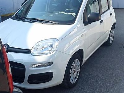 Usata Fiat Panda Easy 69 CV (50 kW) 2016 Bianco Utilitaria