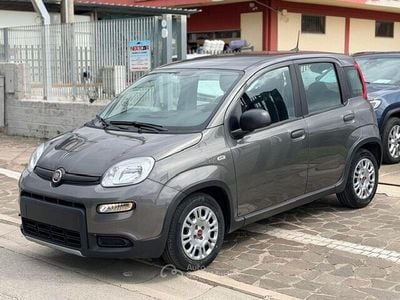 Usata Fiat Panda S 71 CV (52 kW) 2024 Gray Utilitaria