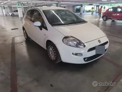 Usata Fiat Punto 85 CV (62 kW) 2013 Bianco Utilitaria