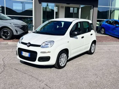 Nuova Fiat Panda Icon 69 CV (50 kW) 2025 Bianco Utilitaria