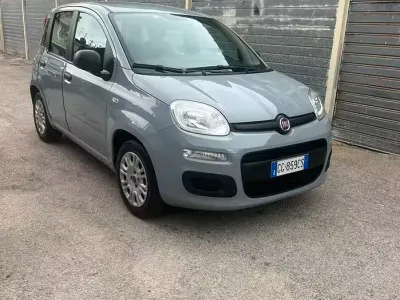 Usata Fiat Panda Easy 69 CV (50 kW) 2021 Grigio Utilitaria