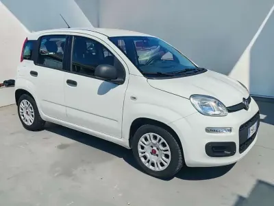 Usata Fiat Panda 69 CV (50 kW) 2018 Bianco Utilitaria