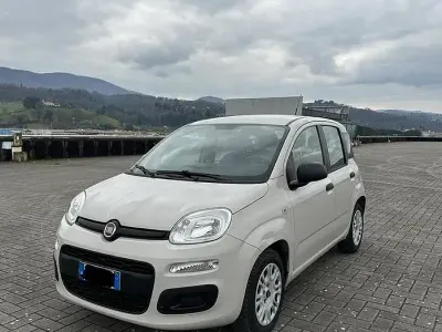 Usata Fiat Panda Easy 69 CV (50 kW) 2017 Bianco Utilitaria
