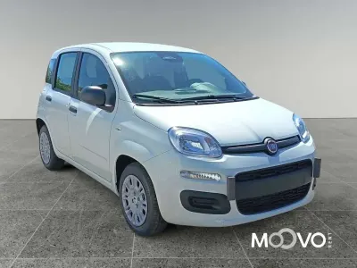 Nuova Fiat Panda Icon 65 CV (47 kW) 2026 Bianco gelato pastello Utilitaria