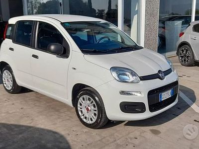 Usata Fiat Panda Easy 69 CV (50 kW) 2020 Bianco Utilitaria