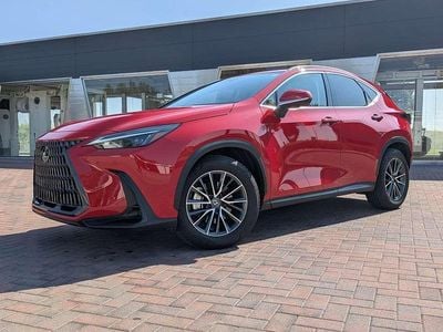 Usata Lexus NX350h Business Edition 190 CV (139 kW) 2024 Rosso SUV