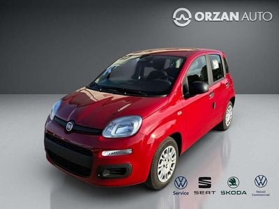 Nuova Fiat Panda Icon 71 CV (52 kW) 2025 Rosso Berlina