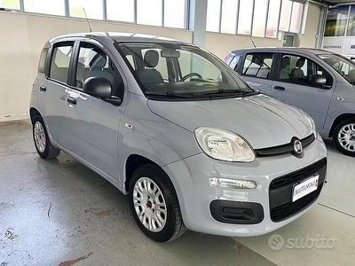 Usata Fiat Panda Easy 69 CV (50 kW) 2019 Grigio Utilitaria