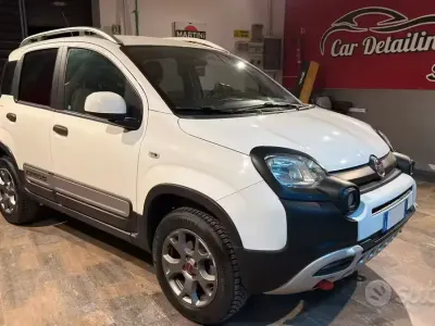Usata Fiat Panda 4x4 85 CV (62 kW) 2019 Utilitaria