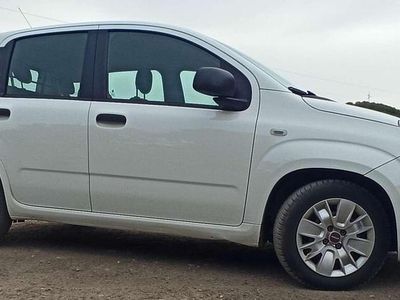 Usata Fiat Panda Easy 80 CV (58 kW) 2017 Utilitaria