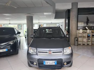 Usata Fiat Panda 4x4 Climbing 75 CV (55 kW) 2011 Grigio Utilitaria