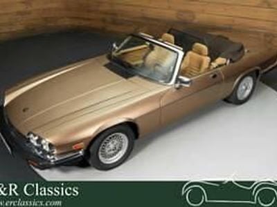 Usata Jaguar XJS S 265 CV (194 kW) 1990 Marrone Cabrio