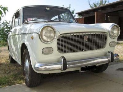 usata Fiat 1100D 