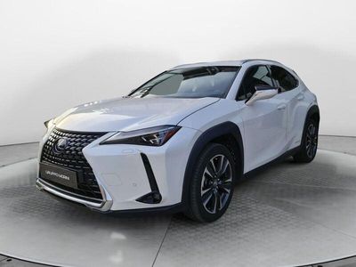 usata Lexus UX 250h Hybrid Executive