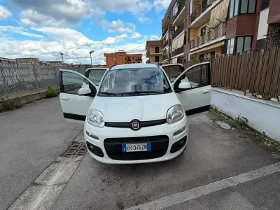 Usata Fiat Panda 70 CV (51 kW) 2013 Bianco Utilitaria