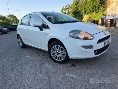 Usata Fiat Punto Evo 77 CV (56 kW) 2013 Bianco Utilitaria