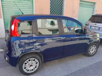 Usata Fiat Panda Easy 95 CV (69 kW) 2019 Utilitaria