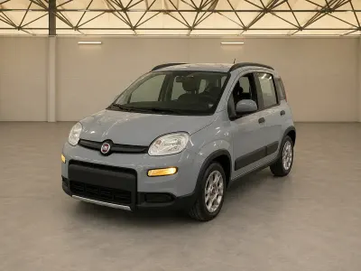 Usata Fiat Panda