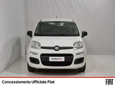 Usata Fiat Panda Lounge 95 CV (69 kW) 2016 Bianco Utilitaria