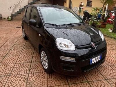 Usata Fiat Panda Icon 69 CV (50 kW) 2025 Utilitaria