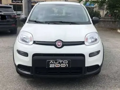 Usata Fiat Panda City Life 69 CV (50 kW) 2023 Bianco pastello Utilitaria