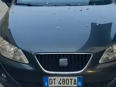 Usata Seat Ibiza 80 CV (58 kW) 2009 Grigio Berlina