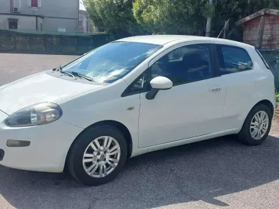 Usata Fiat Punto Evo