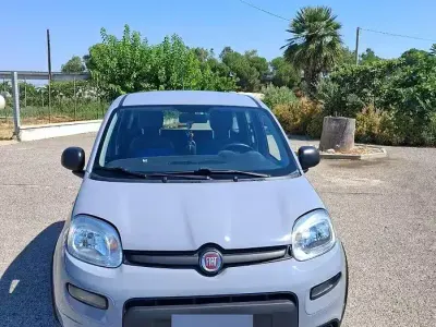 Usata Fiat Panda
