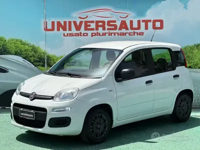 Usata Fiat Panda Easy 69 CV (50 kW) 2016 Bianco Utilitaria