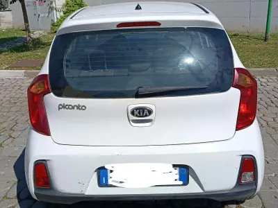 Usata Kia Picanto City 65 CV (47 kW) 2015 Bianco Utilitaria