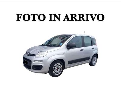 Usata Fiat Panda Easy 69 CV (50 kW) 2017 Argento Utilitaria