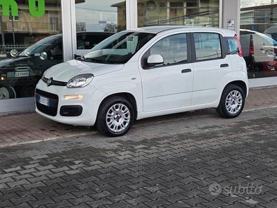 Usata Fiat Panda Easy 69 CV (50 kW) 2020 Bianco Utilitaria