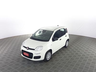 Nuova Fiat Panda Icon 65 CV (47 kW) 2025 Bianco gelato Utilitaria