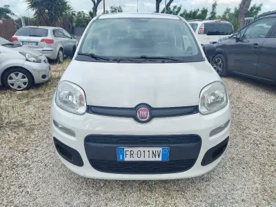 Usata Fiat Panda Easy 69 CV (50 kW) 2018 Bianco Utilitaria