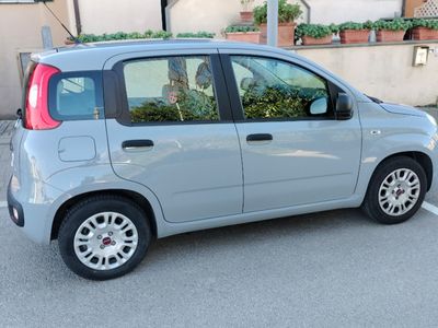 usata Fiat Panda Panda 1.0 FireFly S&S Hybrid Garmin