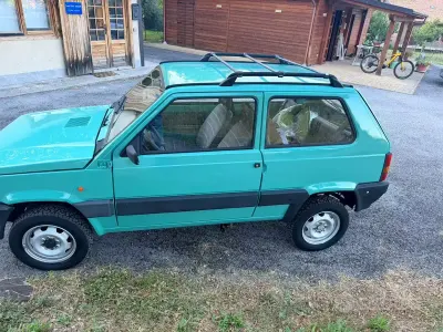 Usata Fiat Panda 4x4 54 CV (39 kW) 1998 Bluazzurro Utilitaria
