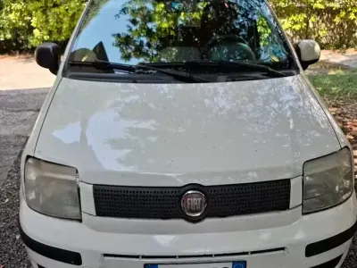 Usata Fiat Panda Dynamic 69 CV (50 kW) 2010 Bianco Utilitaria
