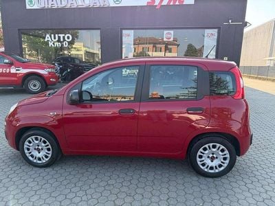 Usata Fiat Panda Easy 69 CV (50 kW) 2016 Rosso Utilitaria