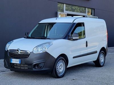 usata Opel Combo 1.6 CDTI 105CV PC-TN Van (750kg) del 2018 usata a Foggia