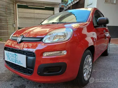 Usata Fiat Panda
