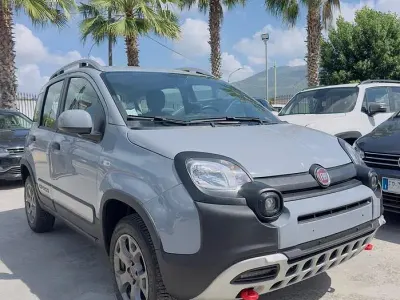 Usata Fiat Panda Cross Cross 85 CV (62 kW) 2020 Grigio Utilitaria