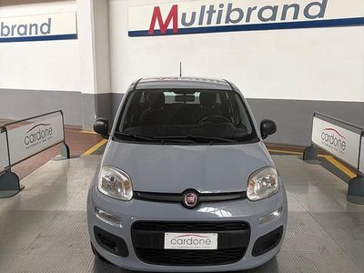 Usata Fiat Panda Easy 69 CV (50 kW) 2020 Grigio Utilitaria