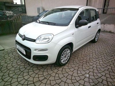 Usata Fiat Panda Easy 69 CV (50 kW) 2020 Bianco Utilitaria
