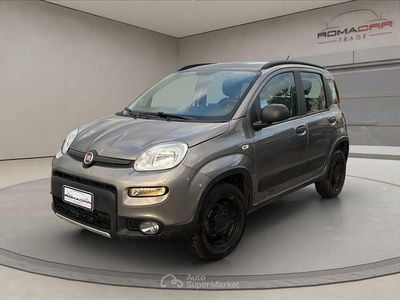 Usata Fiat Panda 4x4 S 86 CV (63 kW) 2020 Grigio Utilitaria