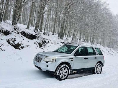 Usata Land Rover Freelander 2 150 CV (110 kW) 2010 Grigio SUV